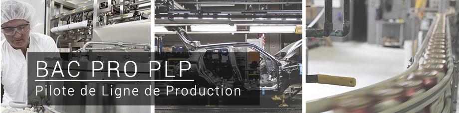 Bac Pro Pilote de Ligne de Production PLP