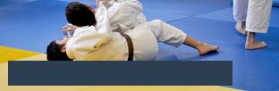 Pole espoir judo de Grenoble lycée Vaucanson